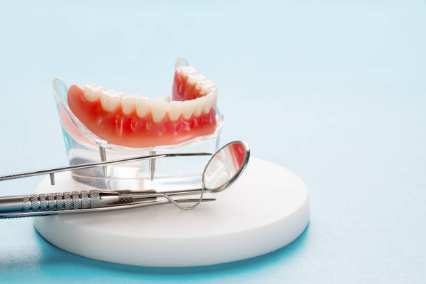 Our Range of Dental Services in Lakewood Clu, MI